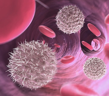 什么是間充質(zhì)干細(xì)胞？