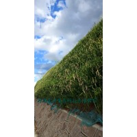 河南景繡專業承接邊坡綠化 生態修復 園林綠化等綠化工程施工