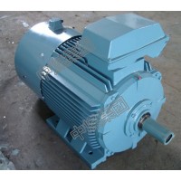 DSB系列隔爆型三相異步電機,DSB系列隔爆型三相異步電機
