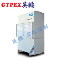 徐州廠房耐高溫除濕機(jī)YPNG-7