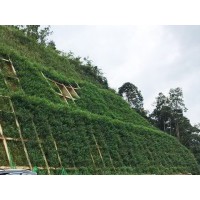 客土噴播植草單價 掛網客土噴播施工方案河南景繡更專業