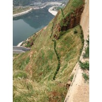高速邊坡綠化 邊坡綠化客土法 液壓噴播植草護坡河南景繡