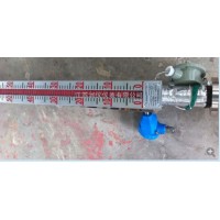 遠(yuǎn)傳式磁翻板液位計(jì)