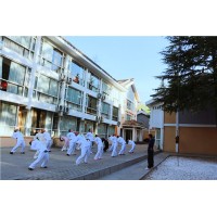 髓友匯易筋洗髓功詳述，“達摩易筋六式”的功效原理