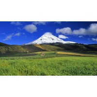 真相！期期盈不正規！揭開陳玥指導虧損近百萬原因！