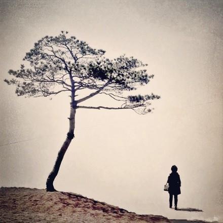 失戀后一個人孤單寂寞傷感的句子，句句催人淚下