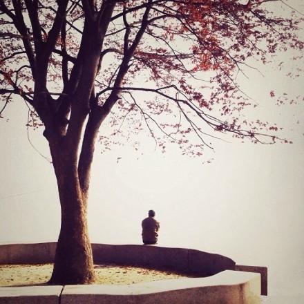 失戀后一個人孤單寂寞傷感的句子，句句催人淚下