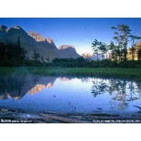 曝光,浙貿商品不正規,最牛散戶董世華指導燃寶虧損內幕揭露