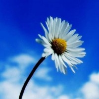 震驚證信股投正規(guī)合法嗎？反向喊單坑我?guī)资f(wàn)！一招教你挽回?fù)p失