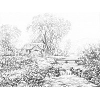 焦點,股略通不正規,虧損真相揭露