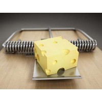 Admins虧損怎么辦？Admins被騙追回資金全過程！