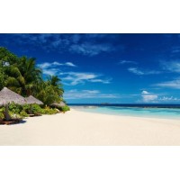 親身講述香港國(guó)際葡萄酒交易虧損被騙真相，老師喊單就是一場(chǎng)騙局