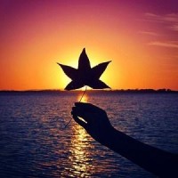 曝光,WARRT不正規,WARRT邵華指導虧損內幕揭露