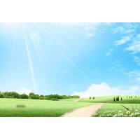 和祥國際正規嗎？機構聯盟虧損是被騙了嗎？勸你別受騙