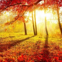 解密KB資產(chǎn)不正規(guī)!雷冬王者歸來指導(dǎo)被騙騙局揭秘