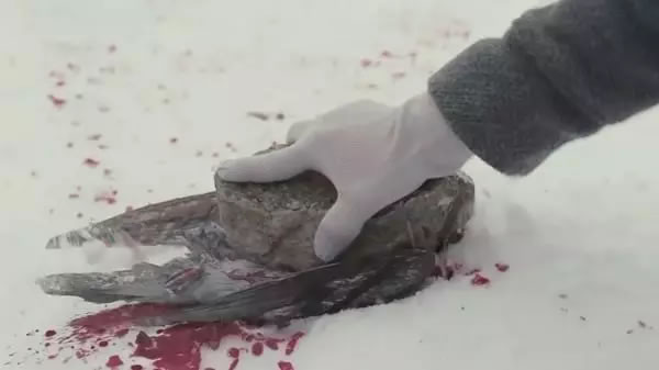 現(xiàn)實版孤兒怨VS電影版《孤兒怨》現(xiàn)實永遠比電影更恐怖,太嚇人了!