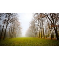 真相揭露易盈資訊不正規！騙局揭露坑我幾十萬事實真相！