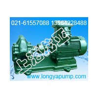 供應(yīng)上海產(chǎn)KCB系列不銹鋼齒輪油泵