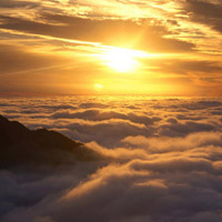 叁九策略正規嗎？老師帶單虧損后被踢出去群！難友速來