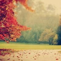 真相揭露u財道正規靠譜嗎？騙局揭秘坑我幾十萬!難友速來