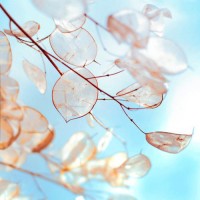 真相揭露點(diǎn)掌資本不正規(guī)內(nèi)幕！揭揭露騙局真相本人親身經(jīng)歷告誡