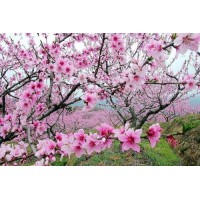 萬方資本融資融券不正規！揭露喊單虧損幾十萬真相！本人親身經歷