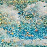 真相揭露易億通商品正規(guī)靠譜嗎？騙局揭秘坑我?guī)资f!難友速來