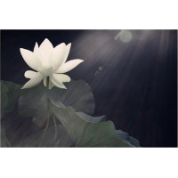 易路商城不正規虧損被騙已曝光，不要在信了各位不要再入金。