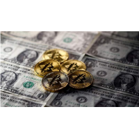 指南針策略虧損爆倉真相，騙局遭大曝光受害者真實被騙經歷揭秘。