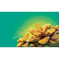 創(chuàng)元期貨虧損騙局韓高遠(yuǎn)一手為之，牛鼎天直播間遍地挖坑