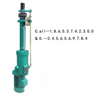 DT300整體直式電動推桿輸煤系統電動推桿