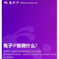 高質量代理IP首選兔子動態IP滿足對IP的一切業務需求