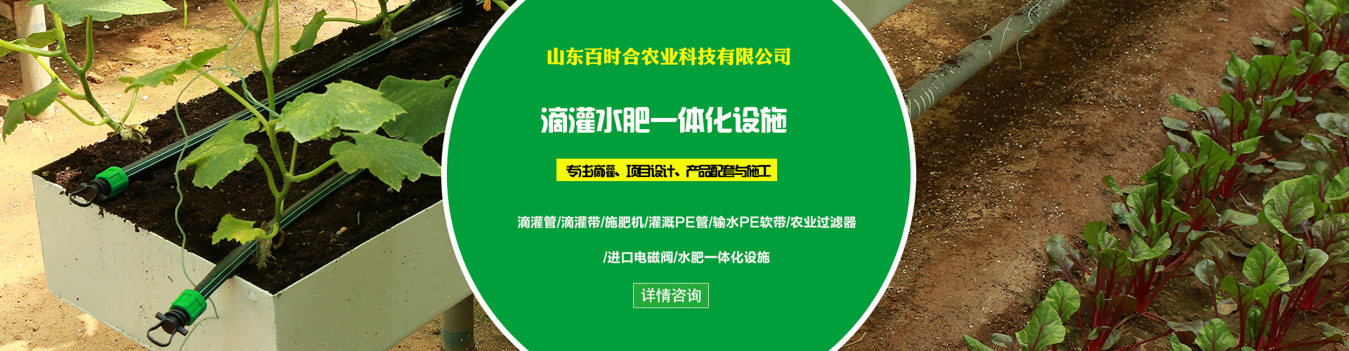 百時合主營業(yè)務(wù)