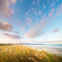 曝光雨升國際錦標(biāo)賽不正規(guī)！揭露楊路陳江紅帶單坑我?guī)资f真相