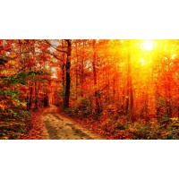 海南國際熱帶商品有內(nèi)幕!跟老師買冬蟲夏草虧損已維權(quán)