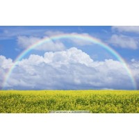 揭穿海鴻源APP不正規(guī)！被騙虧損無法出金！揭露真相本人親歷