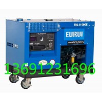 東洋發(fā)電機(jī)TDL11000E