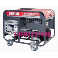 原裝日本進(jìn)口東洋發(fā)電機(jī)TSN26000TE