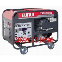 原裝日本進(jìn)口東洋汽油發(fā)電機(jī)TSN19000E