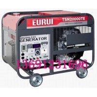 原裝日本進(jìn)口汽油發(fā)電機(jī)TSN20000TE