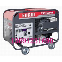 原裝進(jìn)口汽油發(fā)電機(jī)TSN16500E