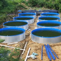 高密度水產(chǎn)養(yǎng)殖池 鐵桶支架鍍鋅板水池 養(yǎng)蝦圓形帆布魚池