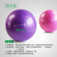 山東三匯 導樂球 分娩球 55cm/65cm 健康分娩