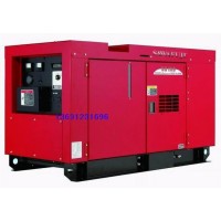 原裝日本進口澤藤發電機