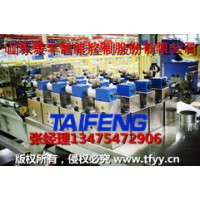 泰豐智能控制生產(chǎn)YZ32-100CV-00R二通插裝閥