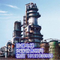 供應(yīng)湖北省武漢市防爆電梯、煤氣柜電梯