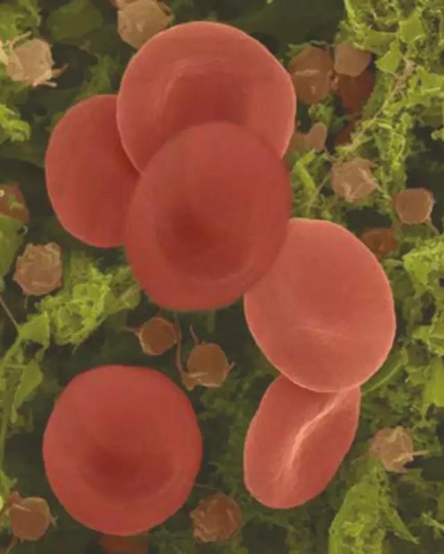 20200218171103_94614.jpg 微信圖片_20200218171005.jpg