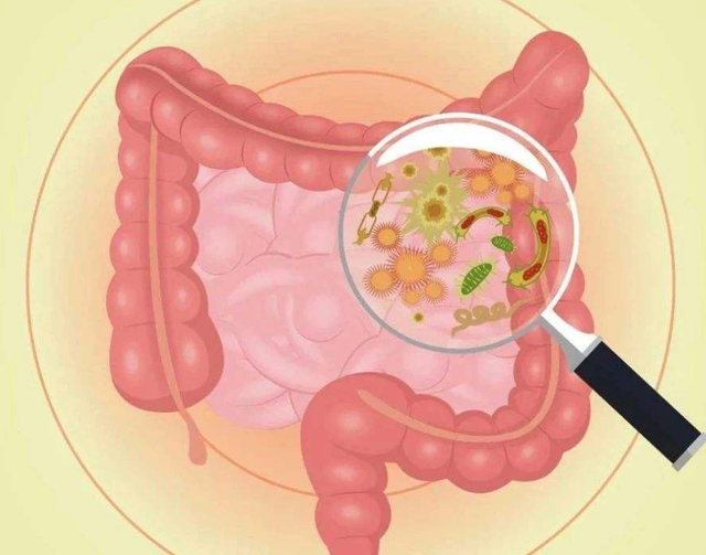 大便干硬排便困難怎么辦？大便前頭干硬后頭軟粘怎么回事