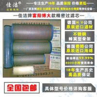 FLY-30/8高效除油器 博大除油器 博大凈化過濾