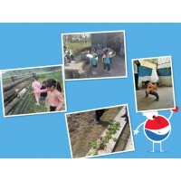 武漢帶娃一日游一個讓人驚嘆的地方，樂農(nóng)湖畔帶孩子回歸童真